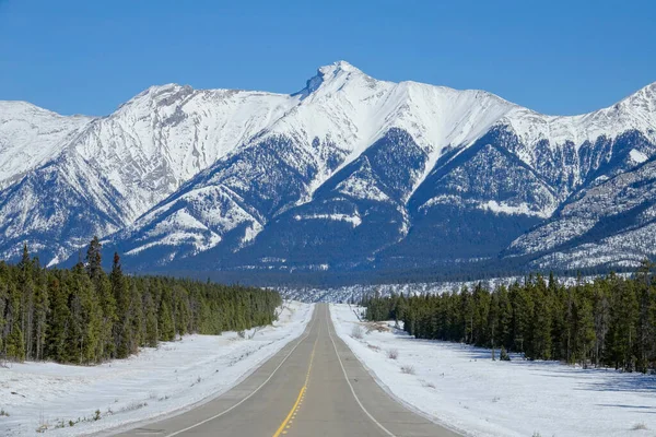 POV: Vista panorámica del paisaje invernal durante un viaje por carretera a lo largo de Icefields Parkway. — Foto de Stock