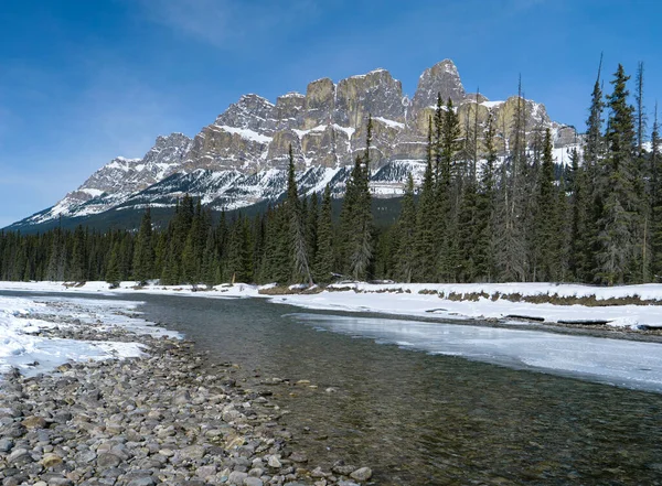 Bow River stroomt langs een sparrenbos onder de majestueuze Canadese Rocky Mountains — Stockfoto
