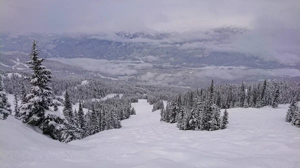 Kilátás a havas völgyre és a hegyekre Brit Kolumbia távoli részén. — Stock Fotó