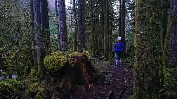 Молода жінка - мандрівниця досліджує захопливий мох, вкритий лісом у Канаді.. — стокове фото