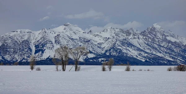 Atemberaubende Felsen der Teton Range überragen die unberührte, verschneite Wildnis. — Stockfoto