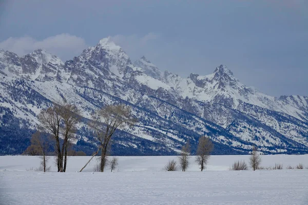 Scenic view of snow covered Teton Bereik op een bewolkte winterdag in Wyoming. — Stockfoto