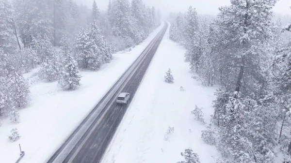 AERIAL: Carro de prata desce pela estrada nevada do país que conduz através de uma floresta de pinheiros. — Fotografia de Stock
