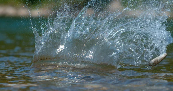 MACRO: Smooth pebble glides along the shimmering surface of a mountain stream. Stock Photo