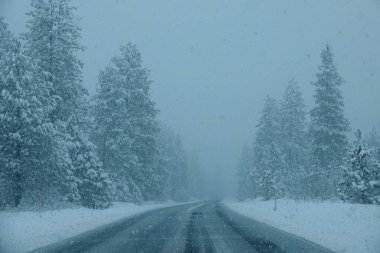 Şiddetli bir kar fırtınası sırasında Idaho 'da karlı bir kır yolunda araba sürmek.