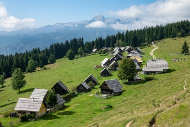 DRONE: Julian Alps manzaralı küçük bir köy manzarası
