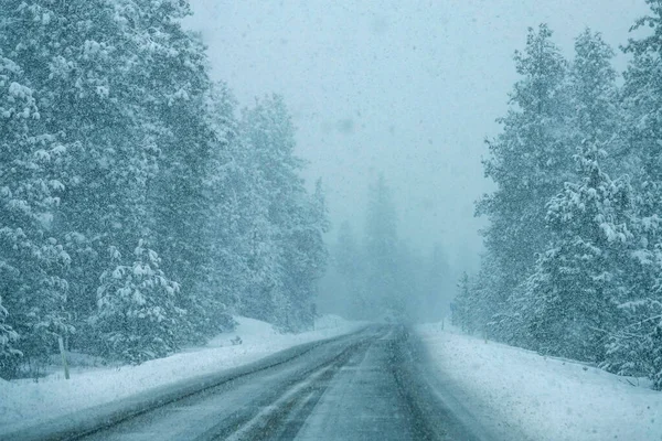 Scenic shot of snowy spruce forests surrounding a country road during snowstorm. — Stock Photo, Image