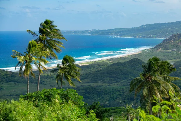 AFSLUITEN: Winden waaien over de ongerepte groene kust van Barbados op een zonnige dag. — Stockfoto