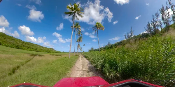 ПОВ: Пустая грунтовая дорога проходит под пальмами и вокруг пышного сельского ландшафта — стоковое фото