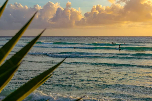 CLOSE UP: Scenic shot of a group of surfers riding waves on a sunny evening. — ストック写真