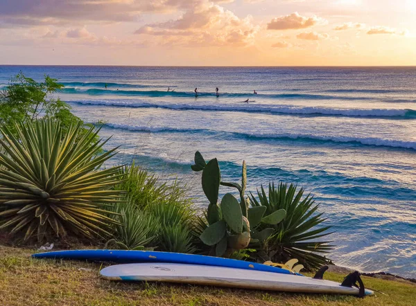 Vista panorámica de una popular playa de surf en Barbados en una soleada noche de verano. —  Fotos de Stock