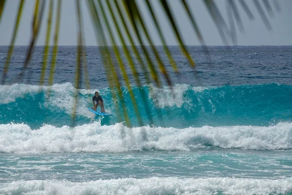 閉じる:バルバドスでの休暇中の若い女性観光客は大きなバレル波をサーフィン. — ストック写真