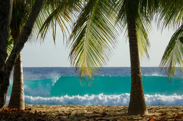 FERMER : Grande vague de baril de couleur turquoise atteint la plage de sable tropical — Photo