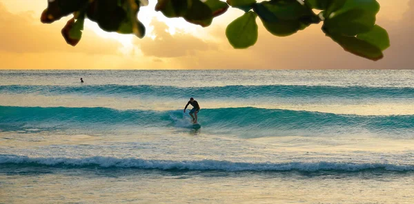 閉じる:アクティブな休暇中のアスレチックマンは黄金の夕日で小さな波をサーフィン. — ストック写真