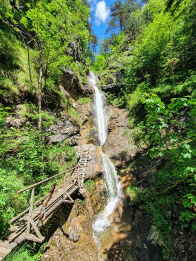 Slovenya 'daki bir dağın kayalık duvarından süzülen cam gibi su..