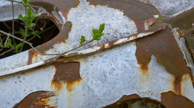 Terk edilmiş aracın vücuduna yayılan pasın detaylı görüntüsü..