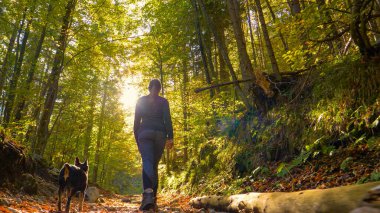 Tanınmayan kız minyatür pinscher 'ını ormanda yürüyüşe çıkarıyor.