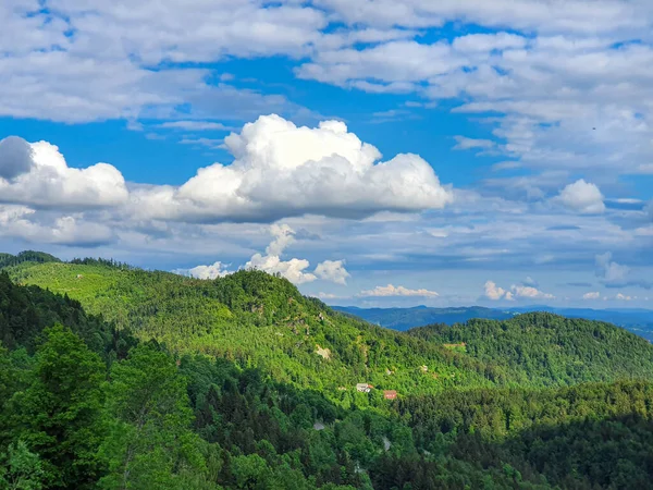 AERIAL: Escénica vista de drones de colinas cubiertas de bosques en el idílico valle de Logarska — Foto de Stock