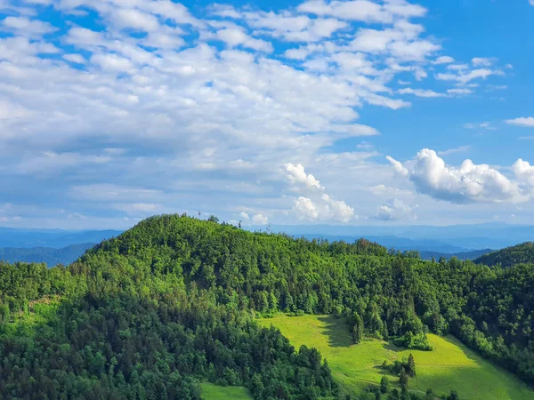 AERIAL: Volando sobre los densos bosques que cubren la vasta Logarska Dolina, Eslovenia. — Foto de Stock