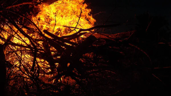 CLOSE UP: Filmaufnahme des Entzündens eines Lagerfeuers in einer klaren Sommernacht. — Stockfoto