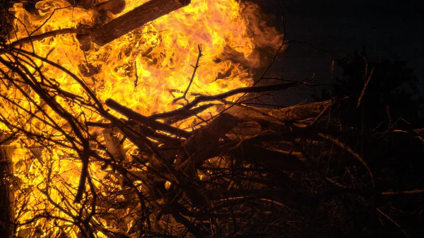 ZAMKNIJ SIĘ: Kupa drewna na opał stanęła w płomieniach na spokojnym kempingu. — Zdjęcie stockowe
