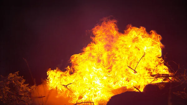 CERRAR: Montón de ramas estalla en llamas después de ser salpicado con combustible. — Foto de Stock