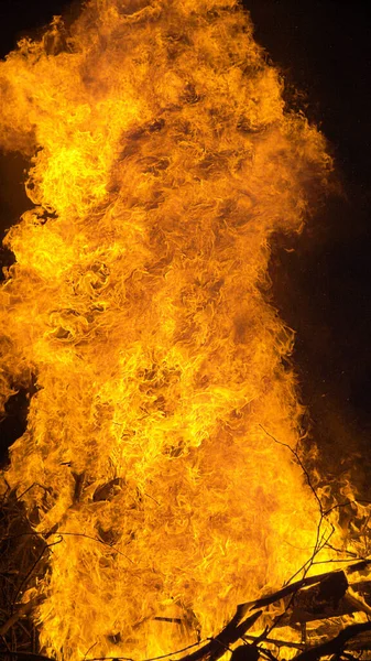 VERTICAL: Gedetailleerde foto van een groot brandend kampvuur midden in de nacht. — Stockfoto