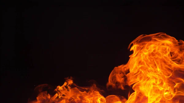 COPY ESPAÇO Belo tiro de chamas de fogueira cintilando na escuridão da meia-noite — Fotografia de Stock