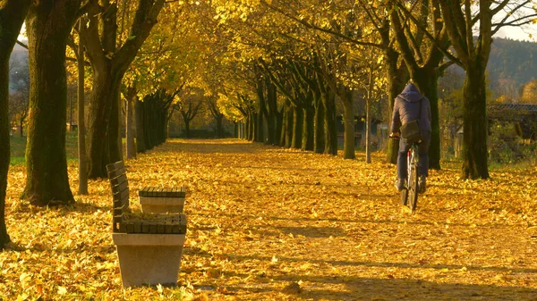 Homem irreconhecível anda de bicicleta pela avenida cheia de folhas coloridas caídas — Fotografia de Stock