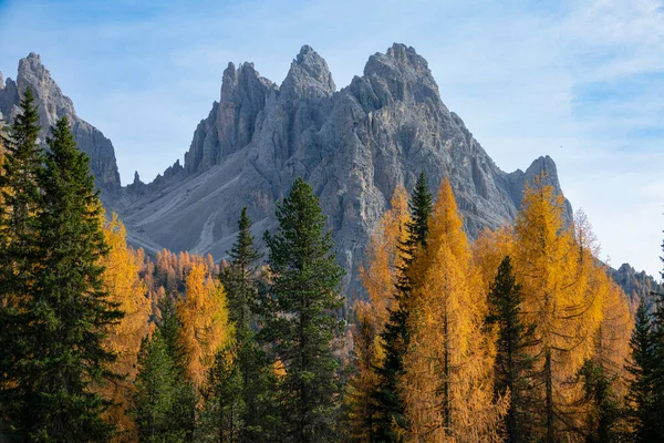 ПІДЛІТКОВІ скелясті гори над густим лісом у Доломітах змінюють кольори. — стокове фото