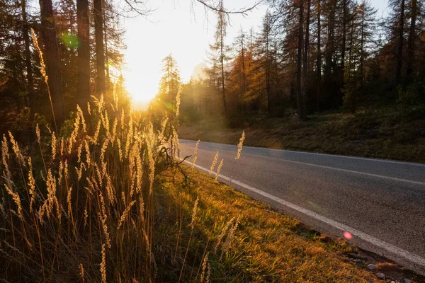 FECHAR-se Golden Outono noite raios de sol brilhar em uma estrada de montanha vazia na Itália — Fotografia de Stock