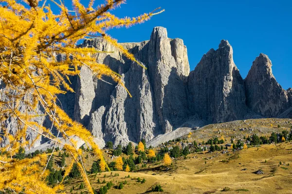 CERRAR: Hermosa vista de ramas doradas que se extienden sobre el paisaje de montaña — Foto de Stock