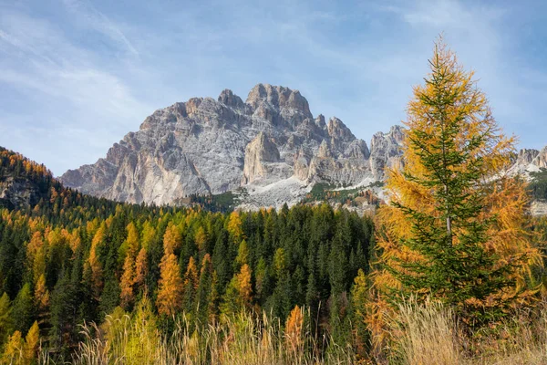 Espectacular cordillera rocosa con vistas a los bosques de color otoño en Italia. — Foto de Stock