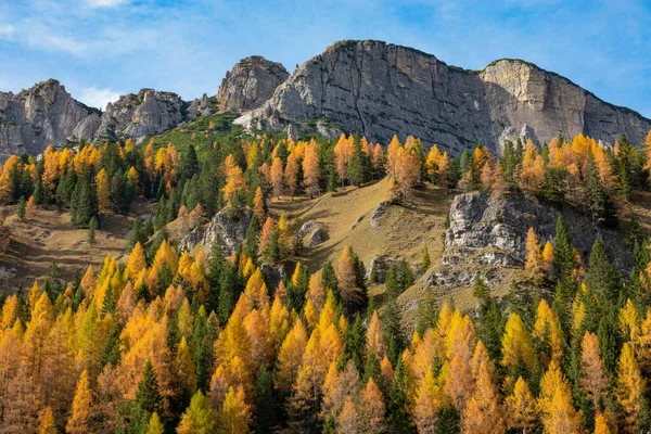 DRONE: Spectacular view of a beautiful fall colored mountain near Misurina. — стоковое фото
