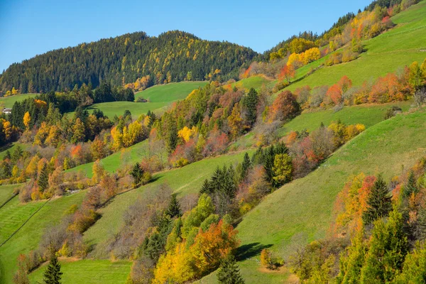 Los magníficos árboles de color de otoño están esparcidos por el campo italiano.. — Foto de Stock