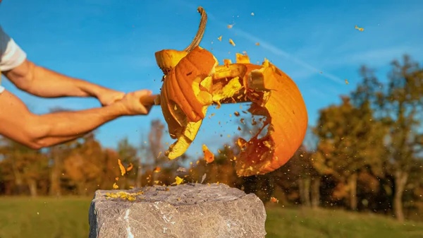 ZAMKNIJ: Halloween rzeźbione dyni coraz zniszczone z kijem baseballowym — Zdjęcie stockowe