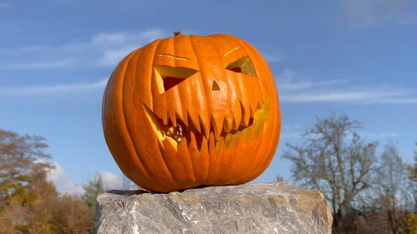 PORTRAIT: Decoración de calabaza de Halloween con cara de risa malvada —  Fotos de Stock