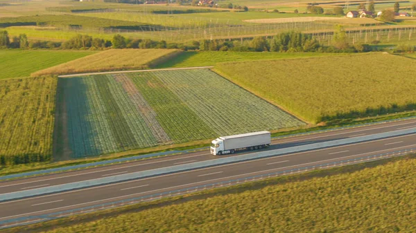 AERIAL: Witte semi-vrachtwagen vervoert vracht langs een snelweg door het platteland. — Stockfoto