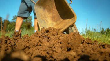 LOW ANGLE, DOF: Wet soil gets scattered by gardener around a sunlit backyard. clipart