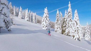Genç ve formda bir kadın, güneşli bir günde karlı bir çayırda yürüyüş yapar..