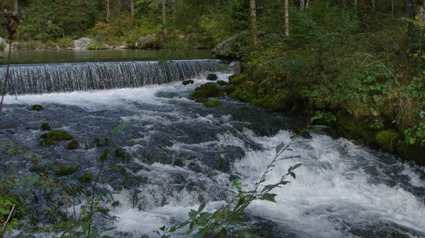 Rivier die door een loofbos stroomt creëert een somber natuurlijk landschap. — Stockfoto