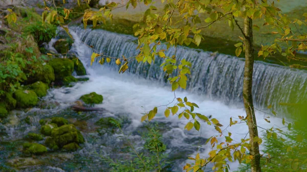 CLOSE UP: Wasserfall durch einen Wald schafft düstere Naturkulisse. — Stockfoto