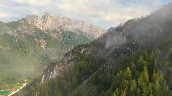 Белый туман парит над хвойными лесами, покрывающими Джулианские Альпы.. — стоковое фото