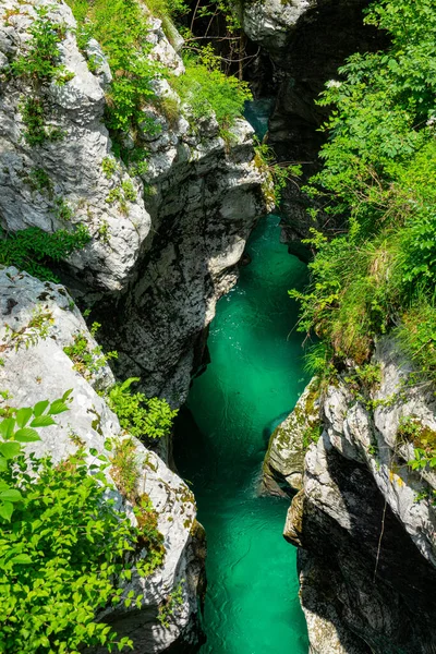 VERTICAL: Diepe smaragd gekleurde rivier stroomt langs een kloof in het schilderachtige Soca Valley. — Stockfoto