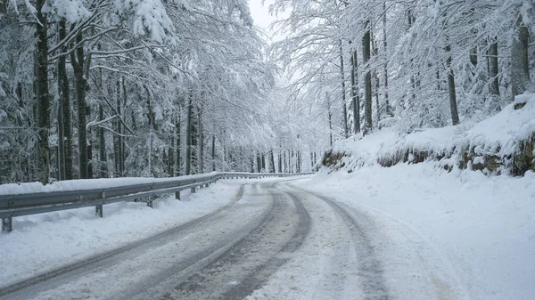 Slovenya 'nın kırsal kesiminde sakin bir orman boyunca boş karlı yol esiyor.. — Stok fotoğraf