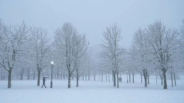 在暴风雪中，男人带着雨伞穿过公园. — 图库照片