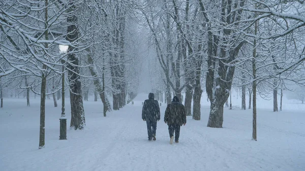 Tanınmayan iki adam Ljubljana 'da kar fırtınası sırasında karlı caddede yürüyorlar.. — Stok fotoğraf
