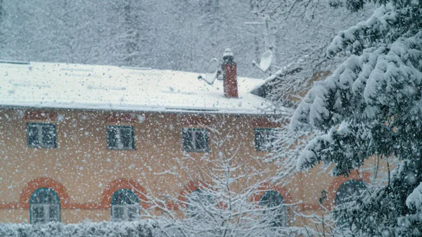 ZAMKNIJ: Białe płatki śniegu pokrywają idylliczny, wietrzny las otaczający budynek. — Zdjęcie stockowe
