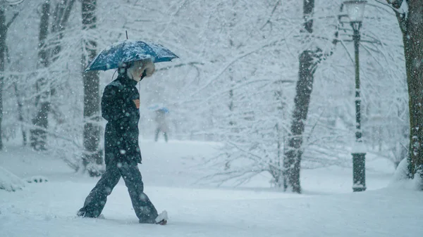 Kışlık palto giyen ve şemsiye taşıyan genç bir kadın kar fırtınasında yürüyor. — Stok fotoğraf