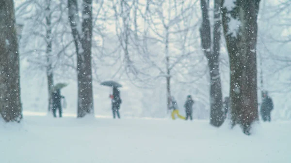 大人们和孩子们在暴风雪中在公园里玩得很开心. — 图库照片